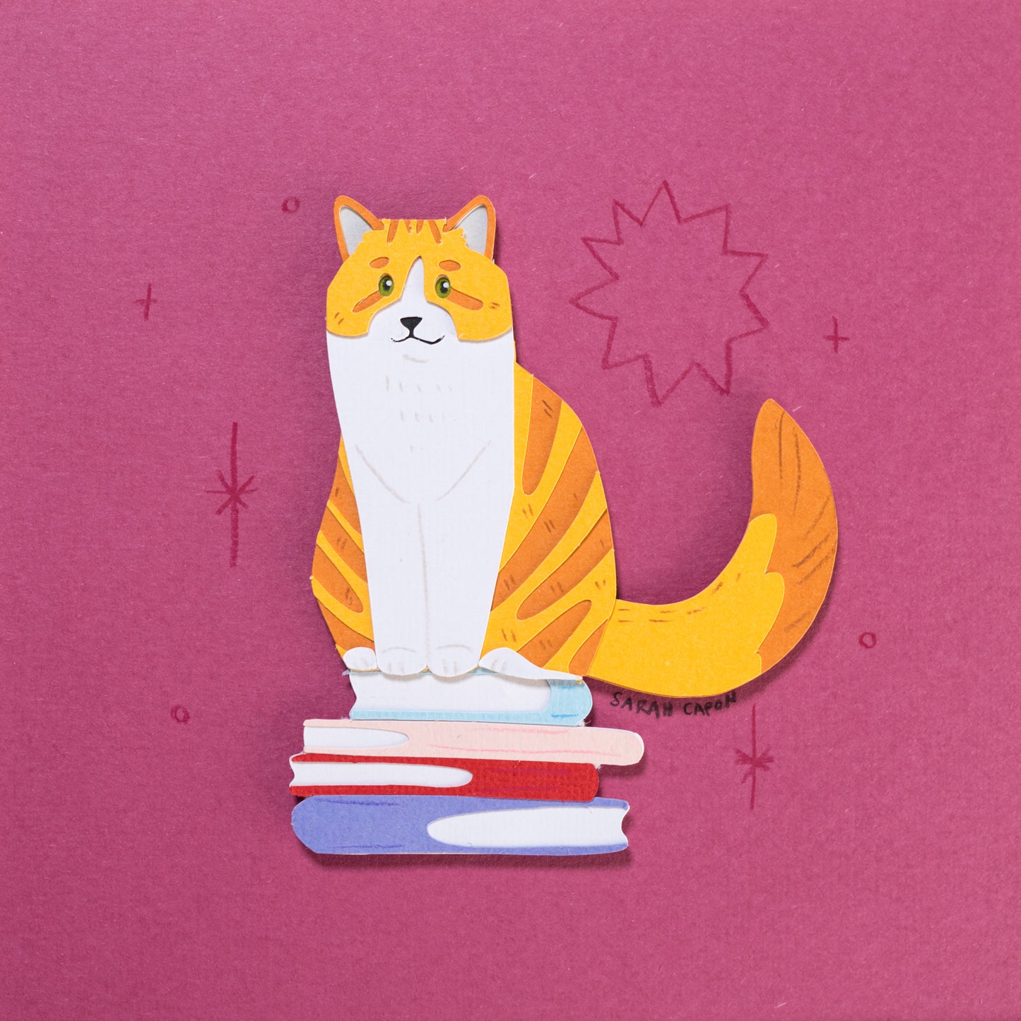 Tabby cats on Books