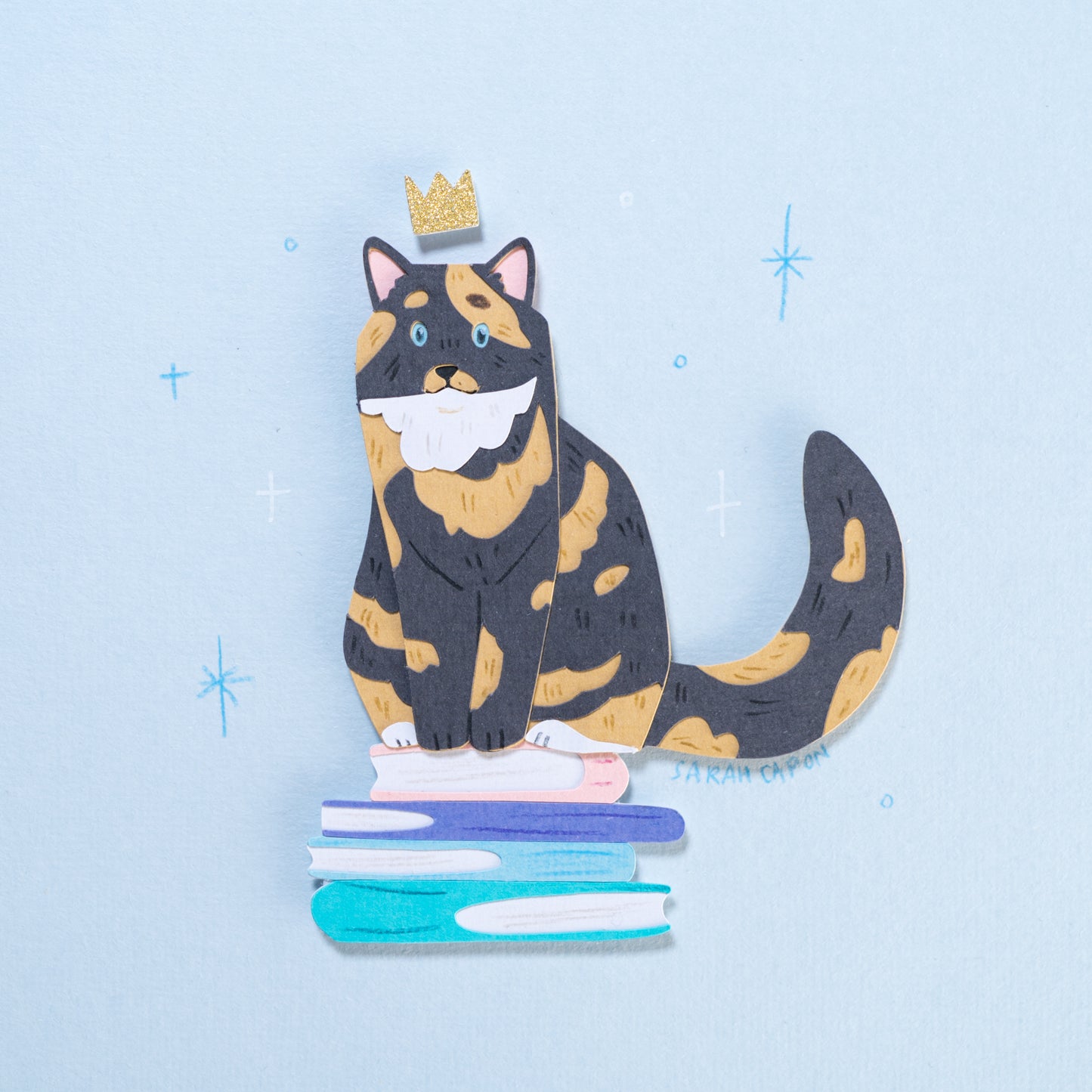 Torti Cats on Books