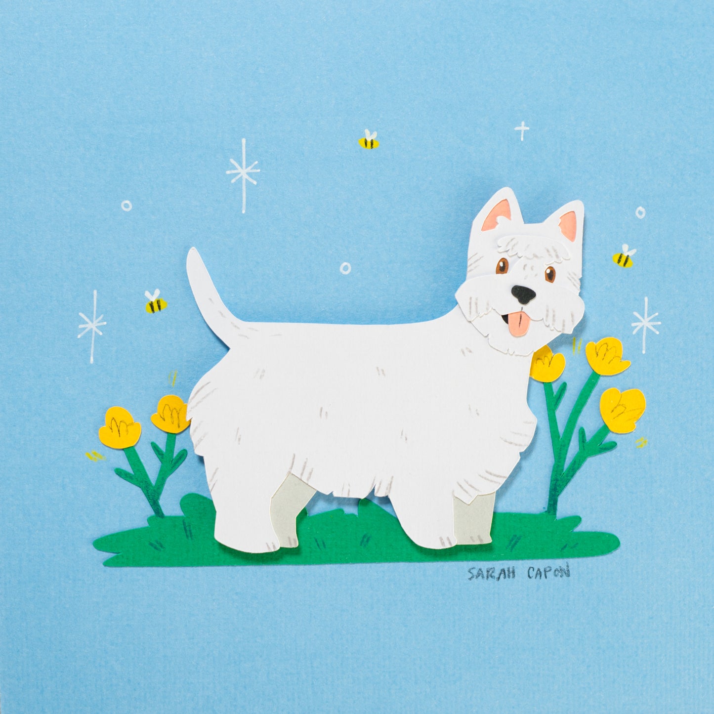 Westies
