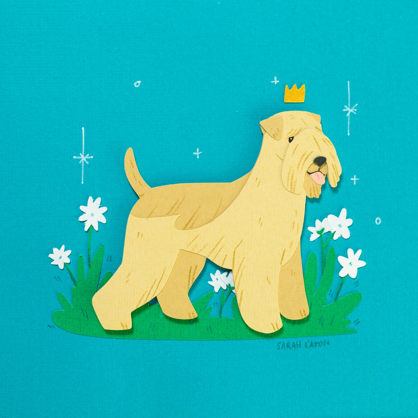 Wheaten Terriers