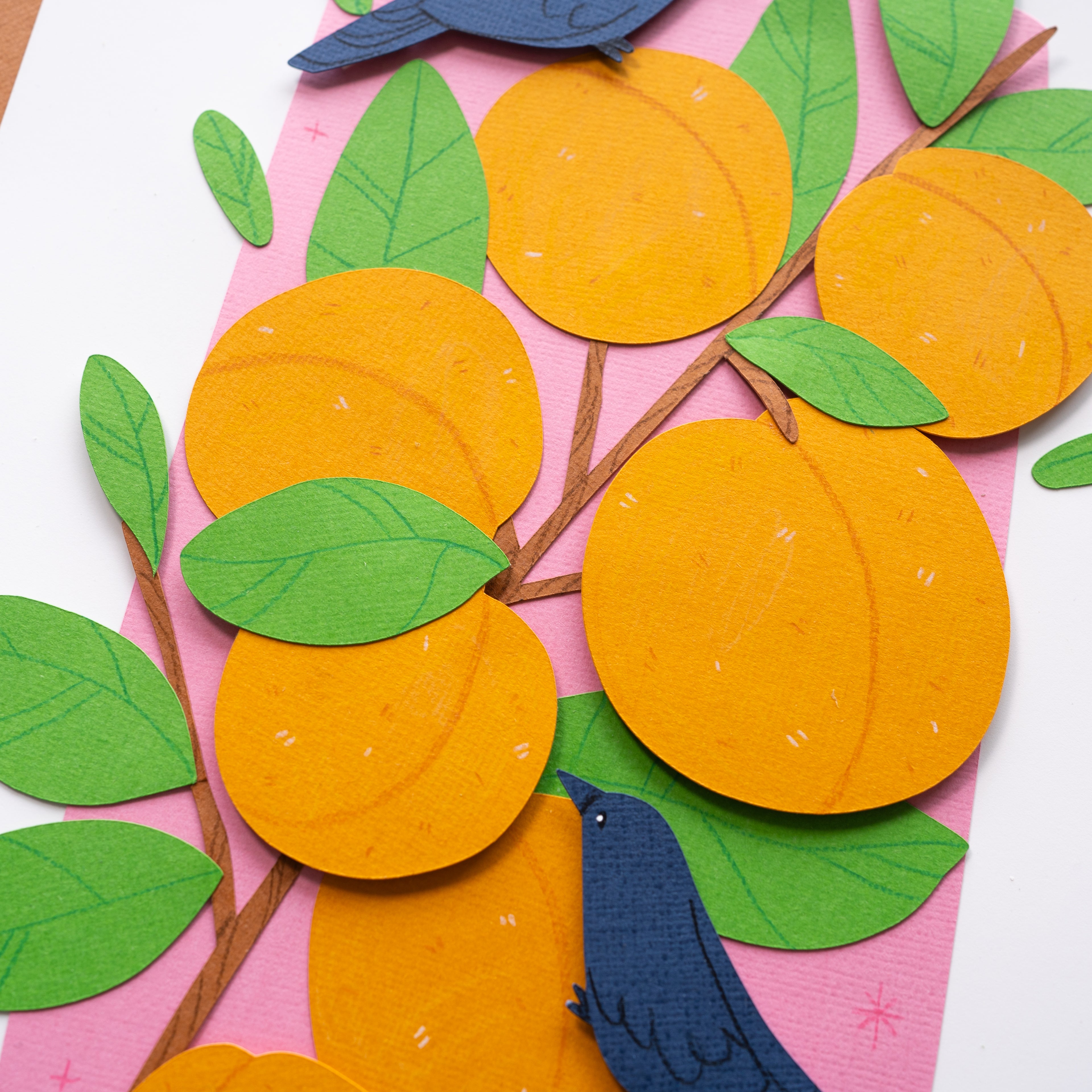 Apricot Original