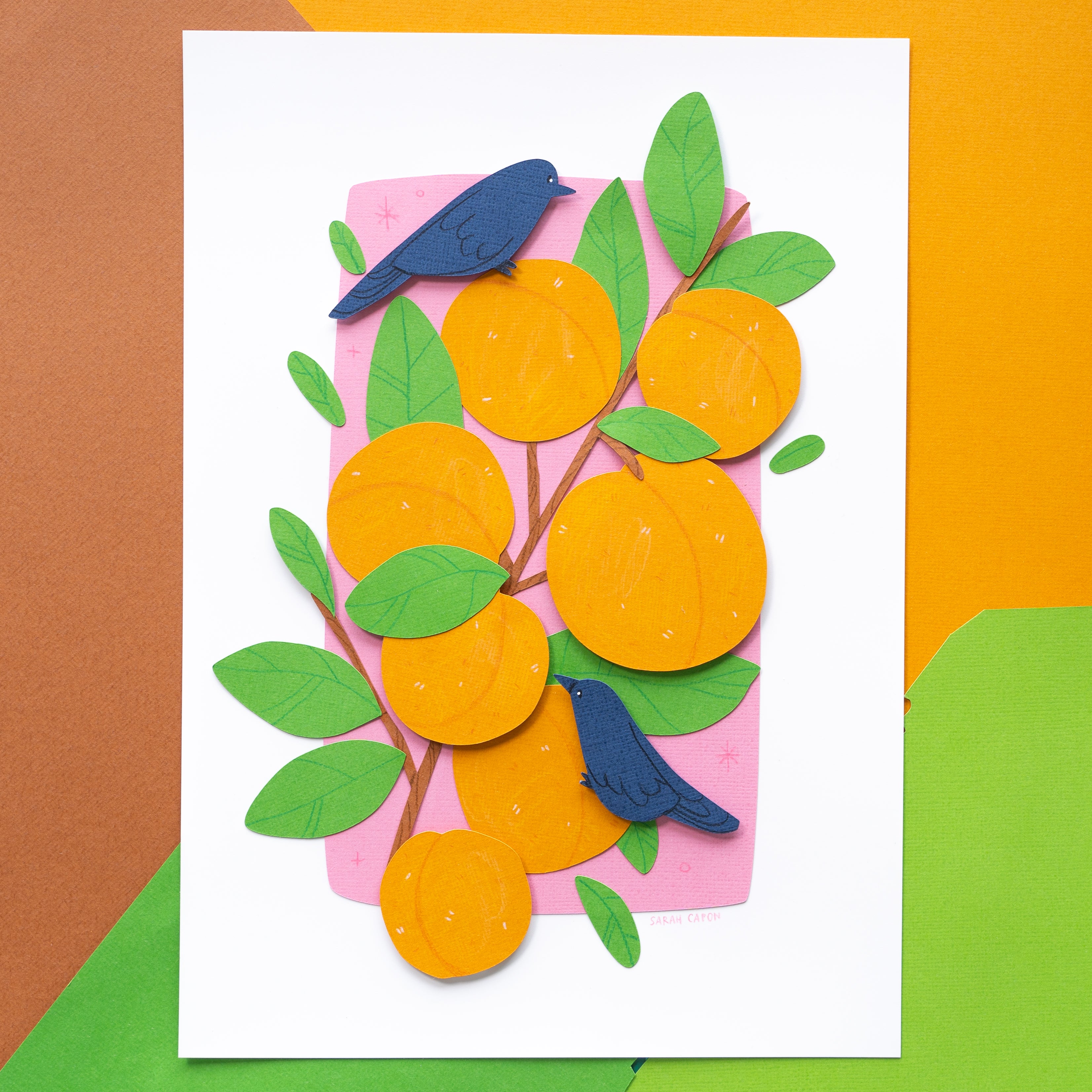 Apricot Original