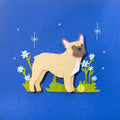 French Bulldogs