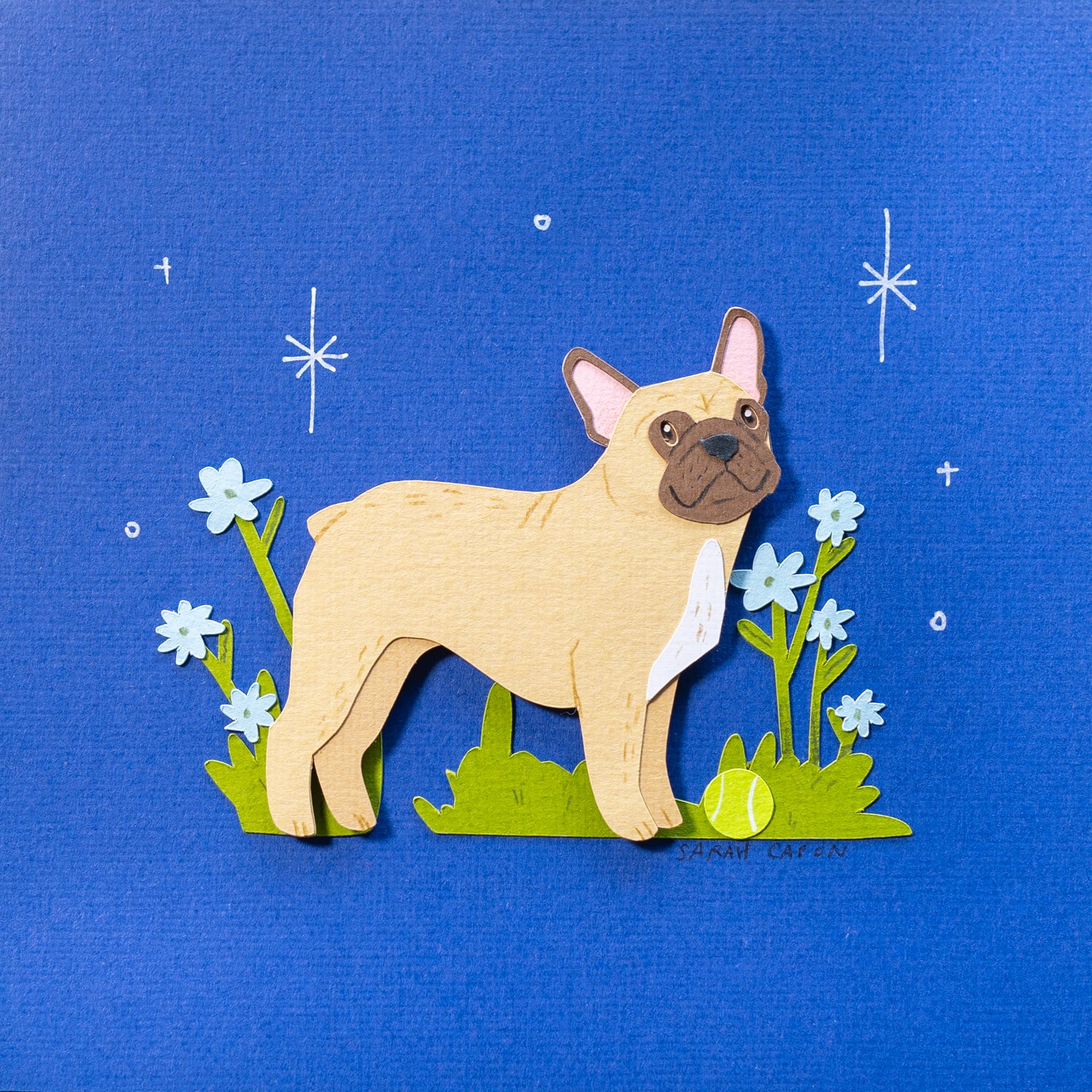 French Bulldogs