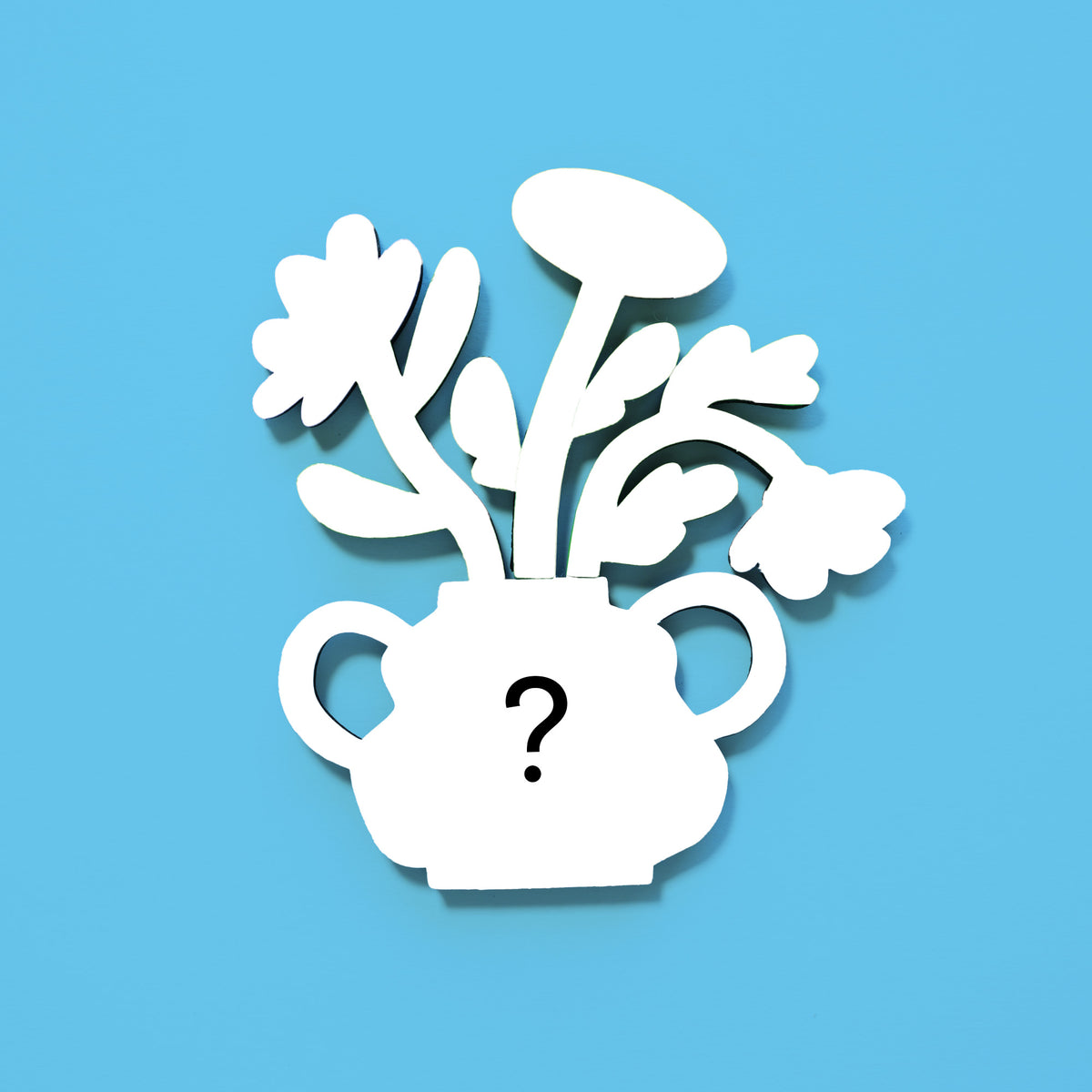 Mystery Flower Magnet Set