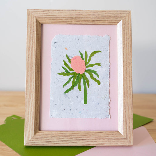 Banksia Framed (Pink)