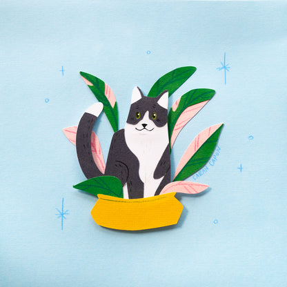 Black and White Cats in Plants