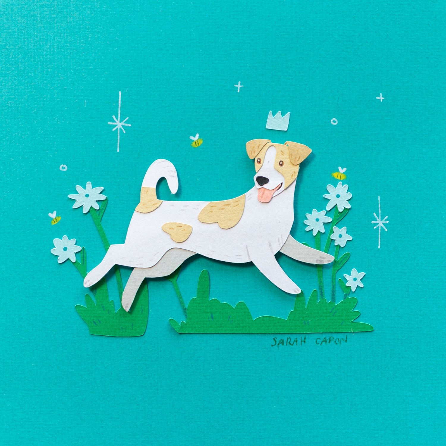 Jack Russells