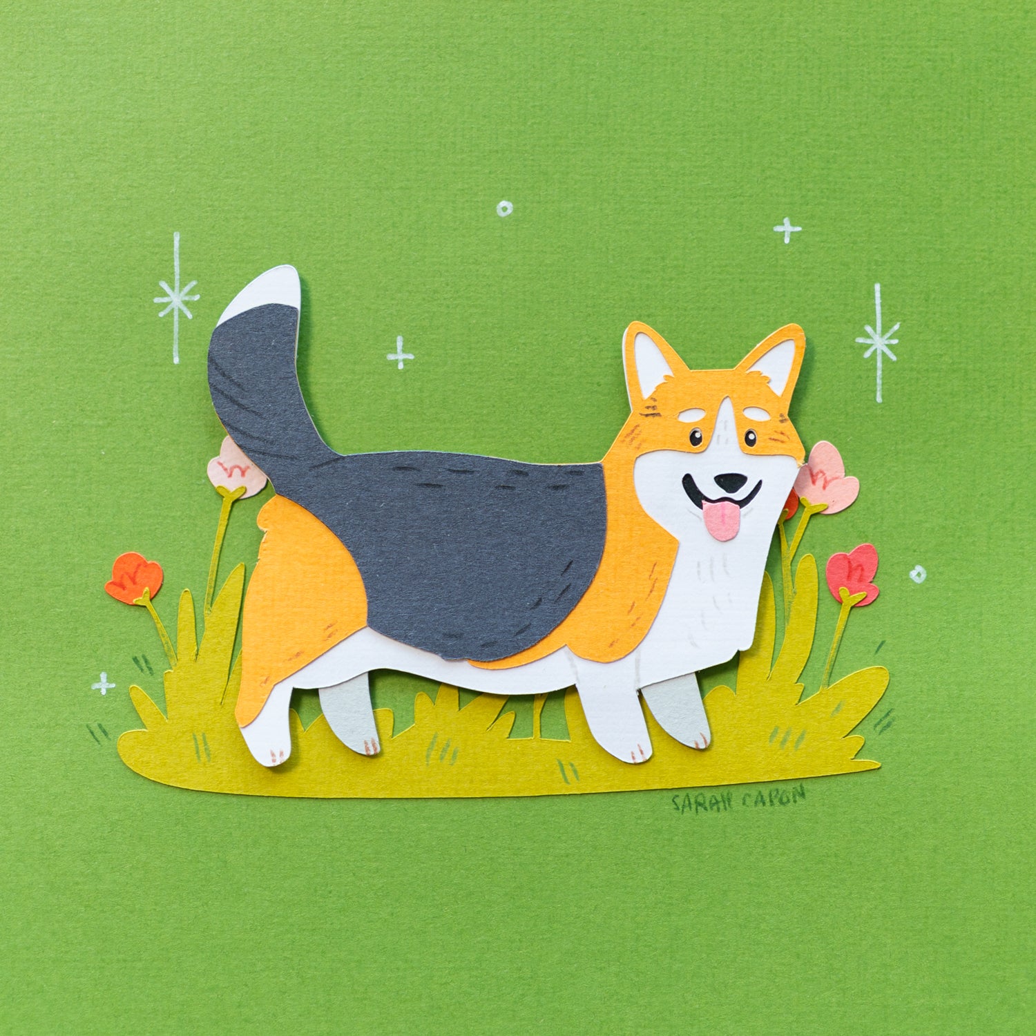 Corgis