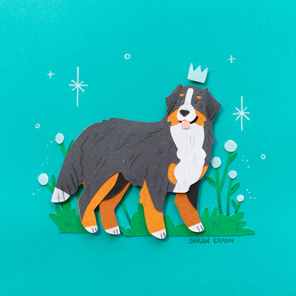 Bernese Mountain Dogs
