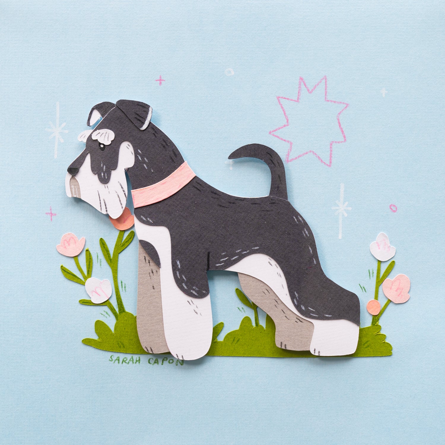 Schnauzers