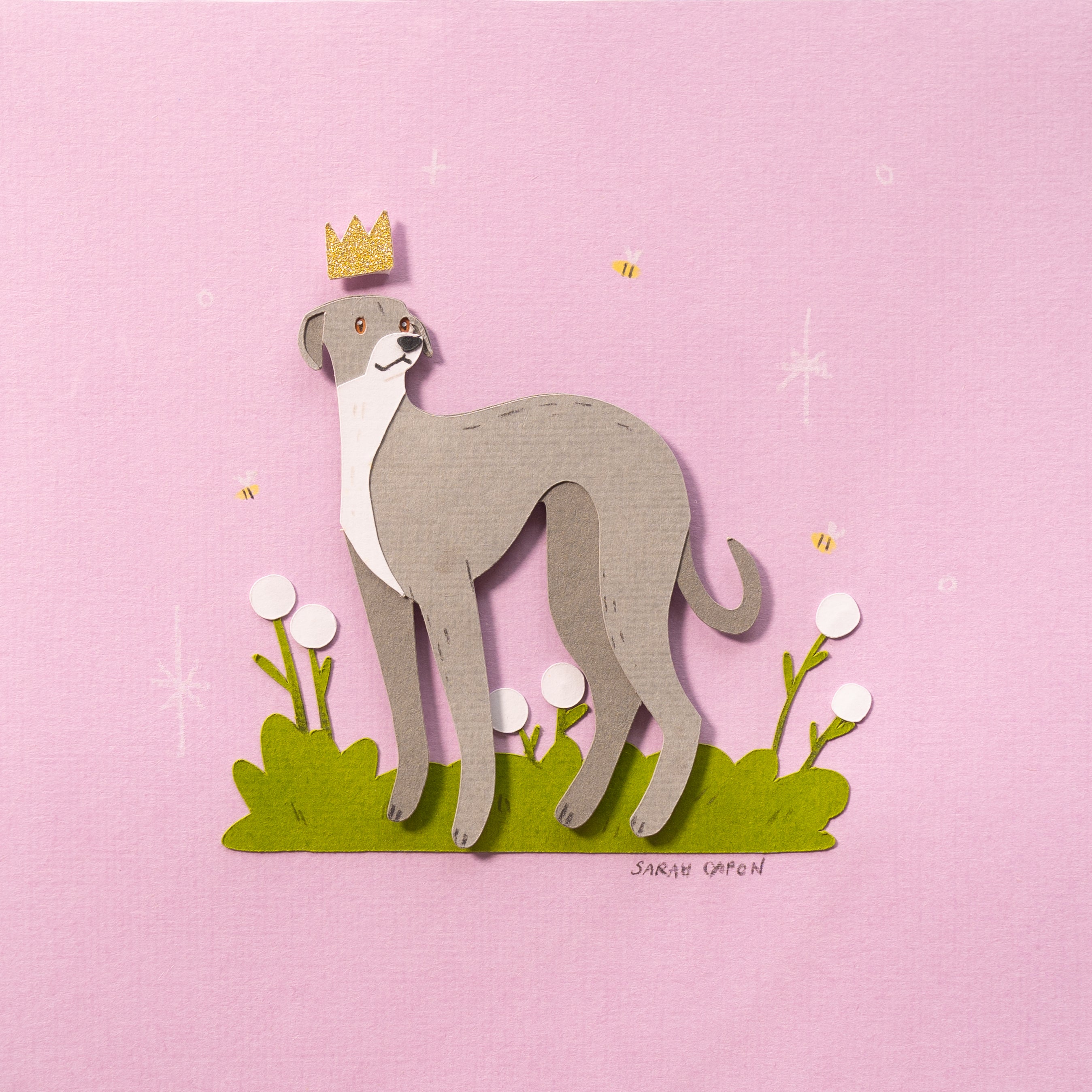 Italian Greyhound
