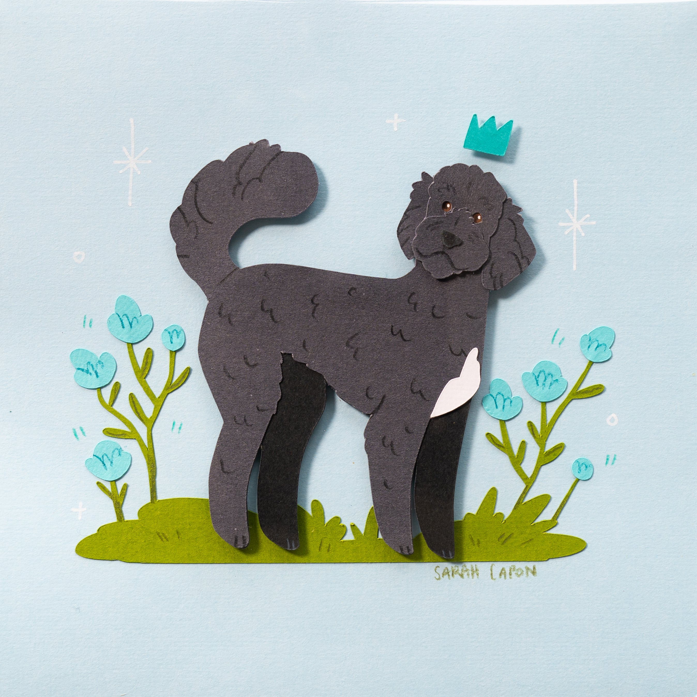 Fluffy Poodle / Oodle