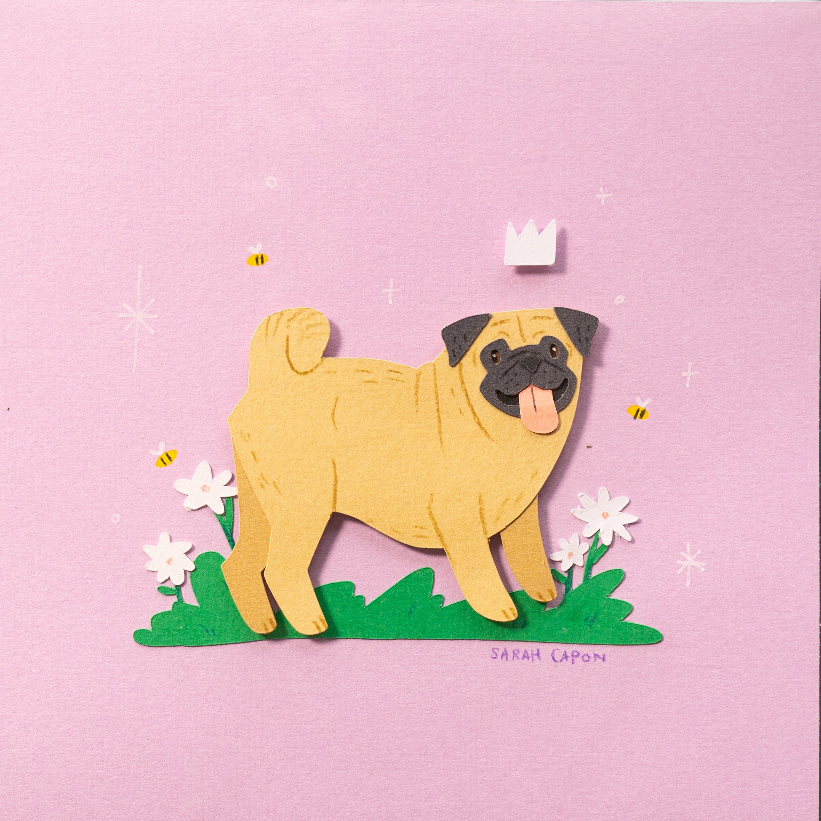 Pugs