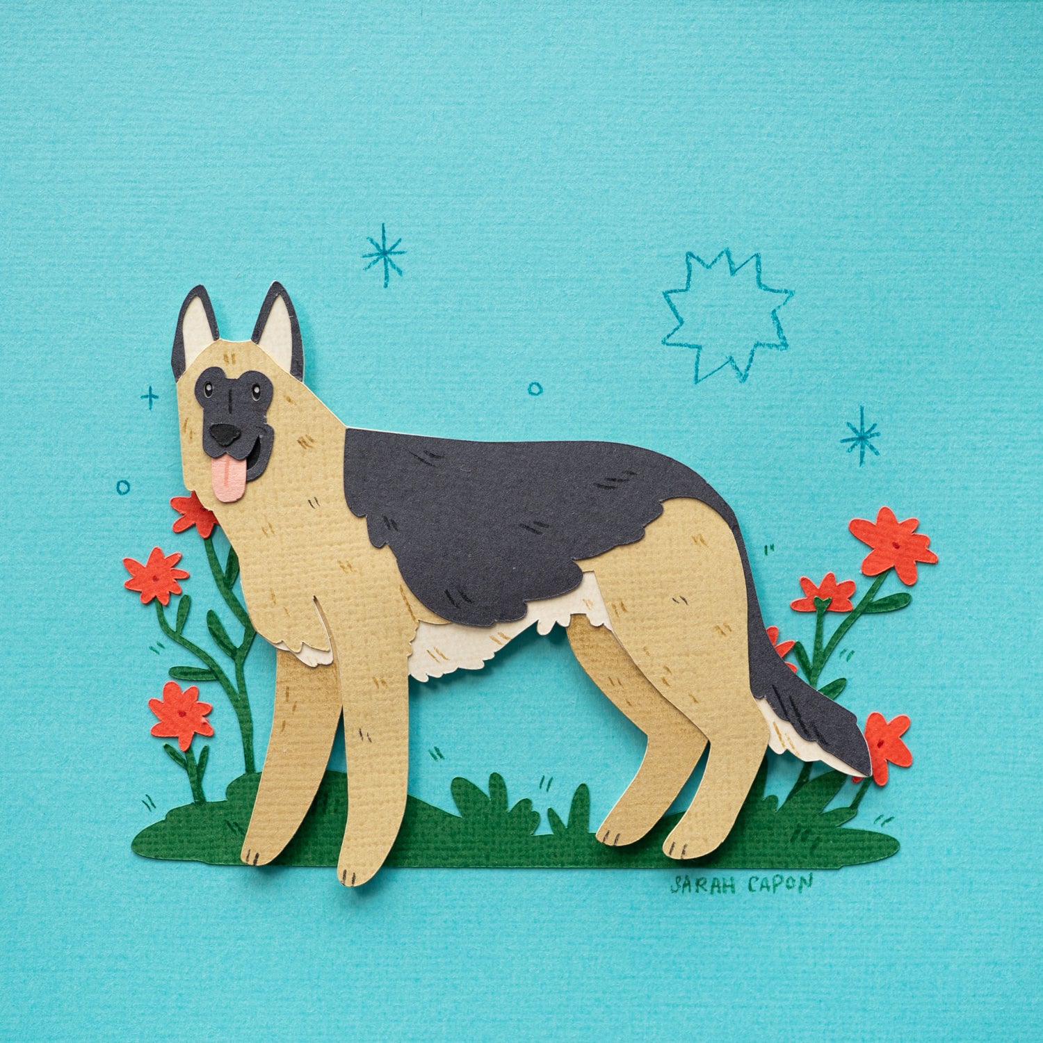German Shepherd