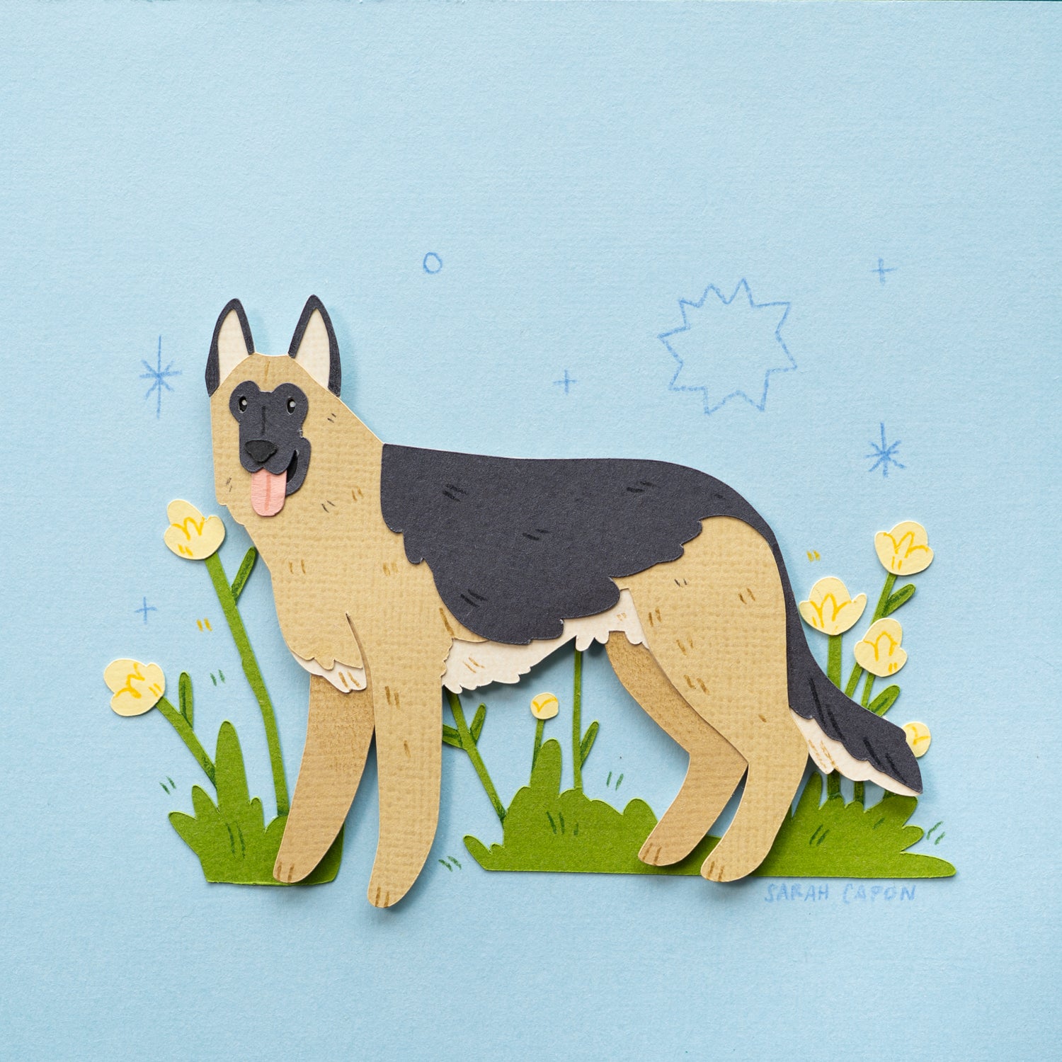 German Shepherd