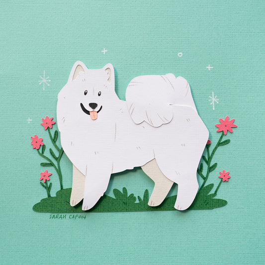 Samoyed