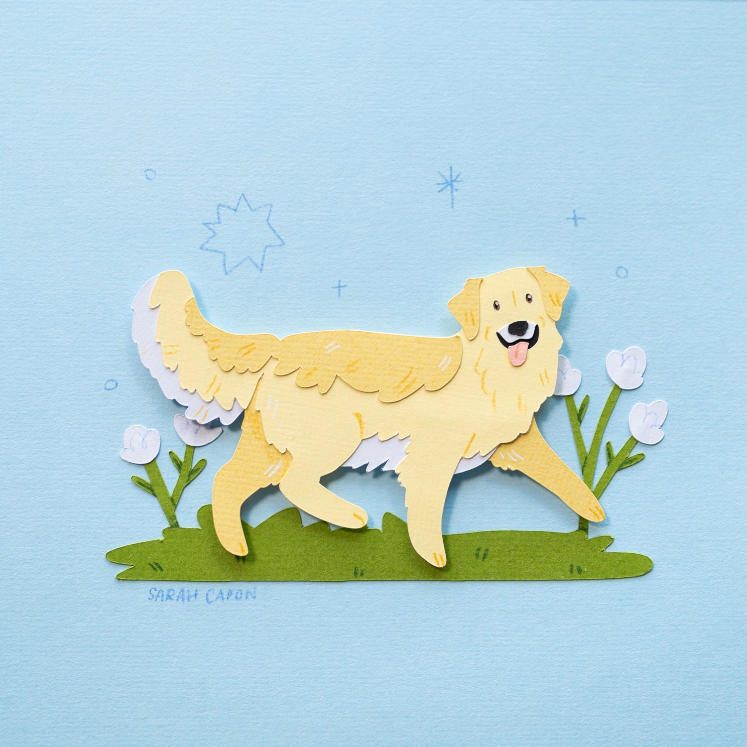 Golden Retriever