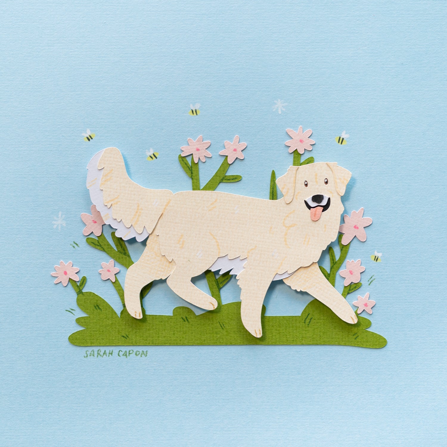 Golden Retriever