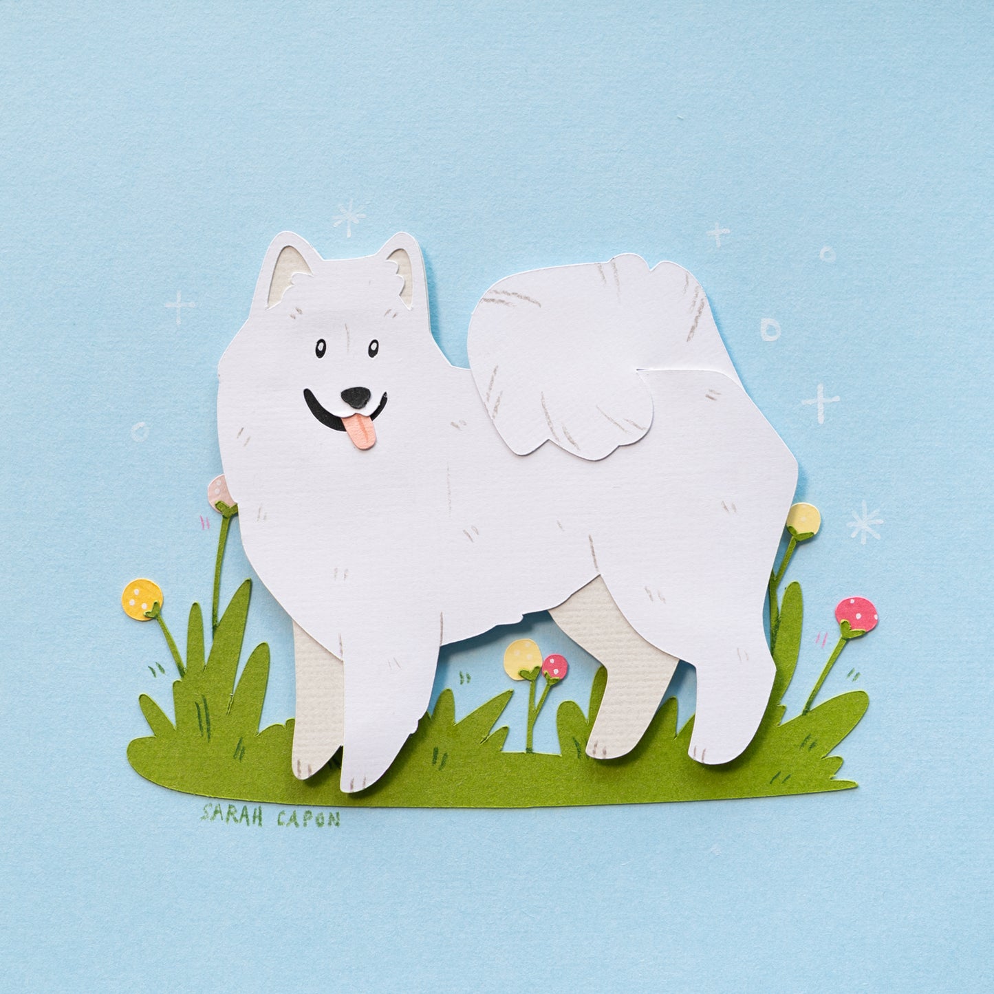 Samoyed