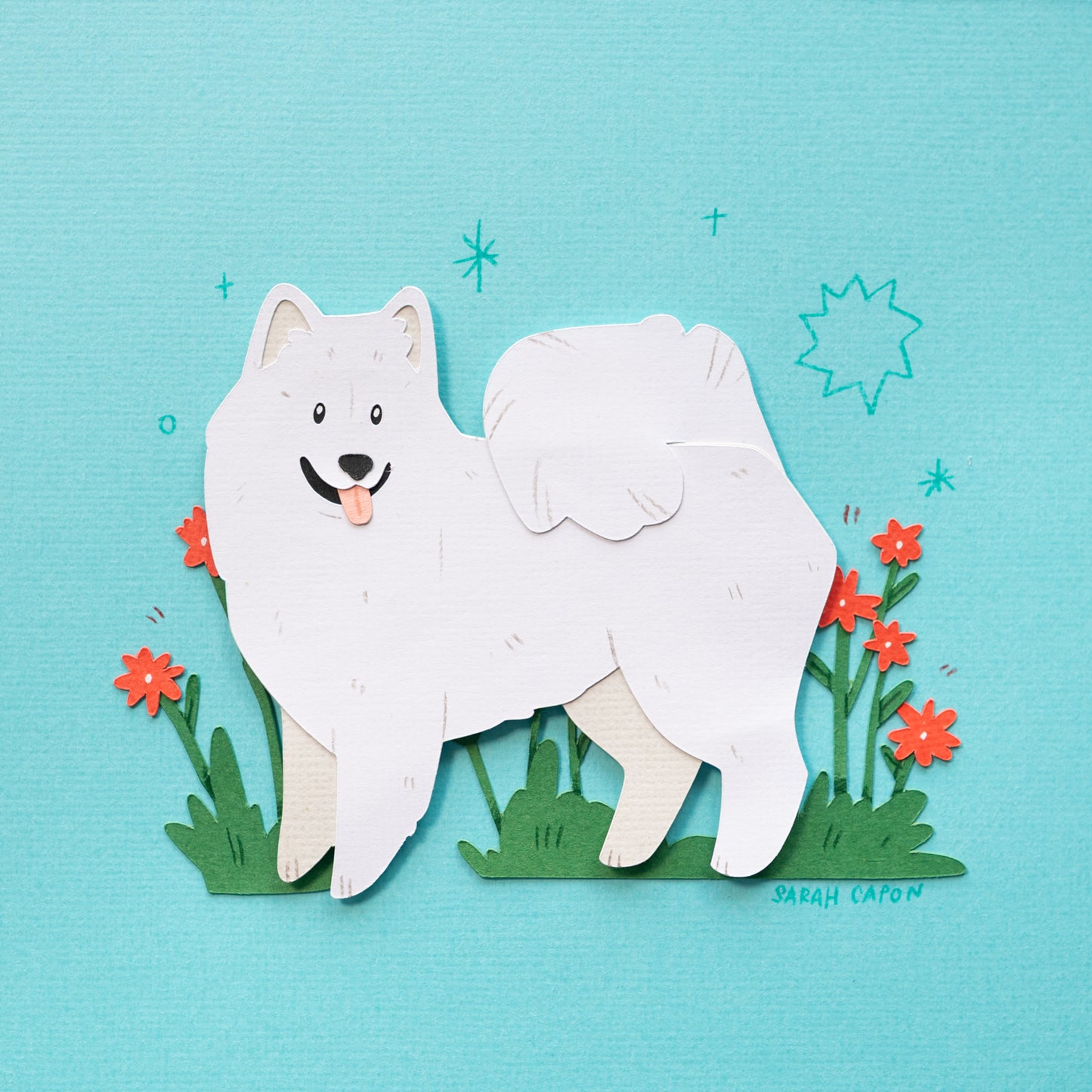 Samoyed