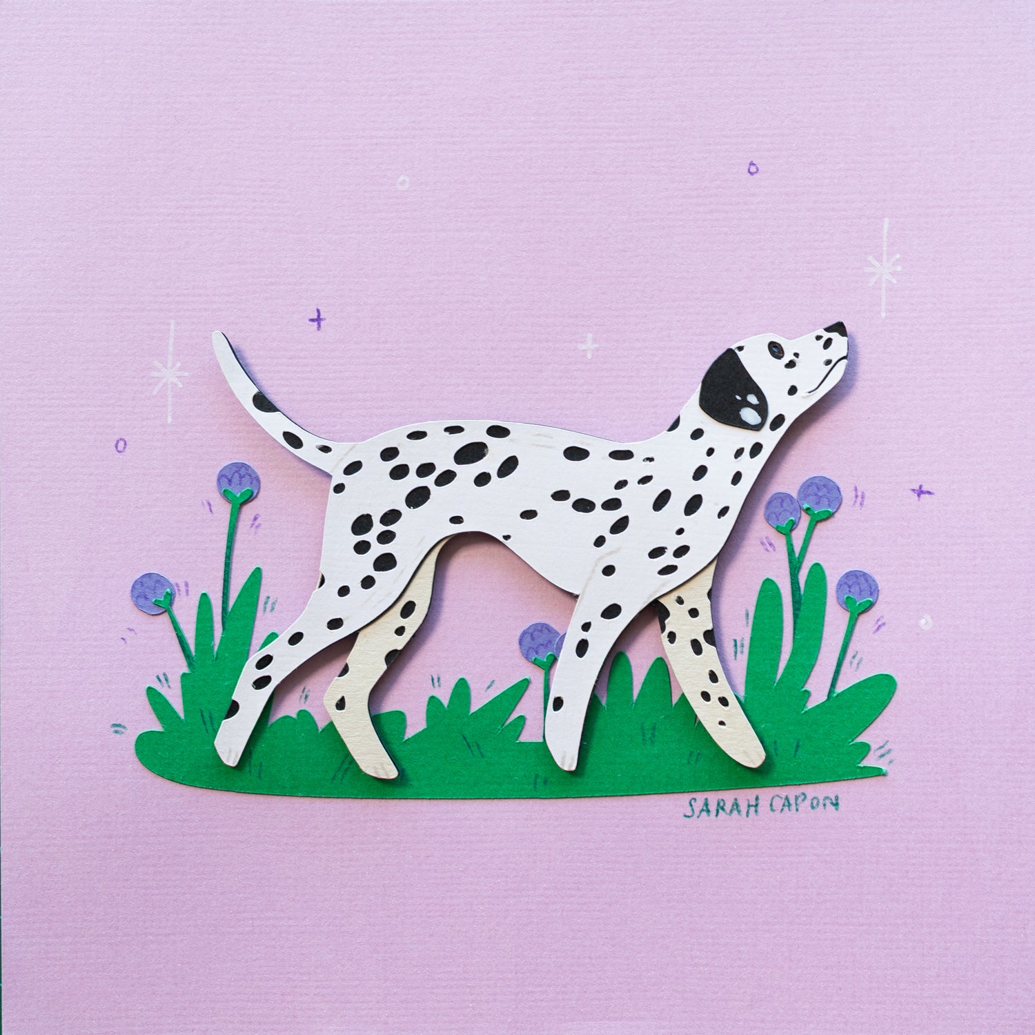 Dalmatians