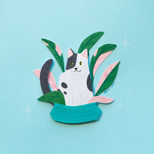 Black and White Cats in Plants