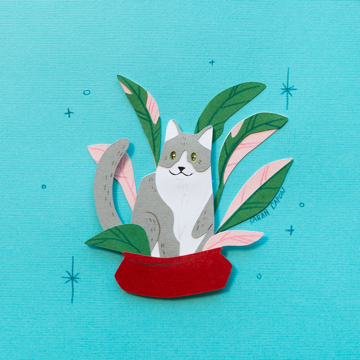 Grey and White Cats in Plants