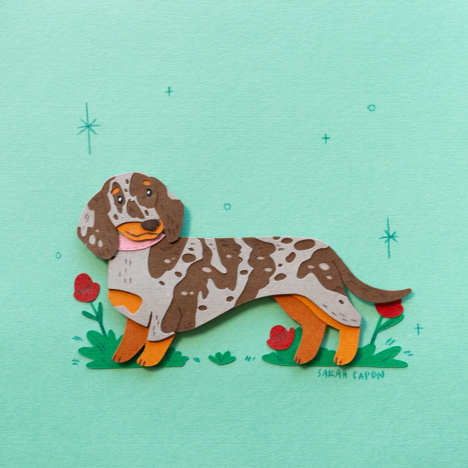 Sausage Dogs