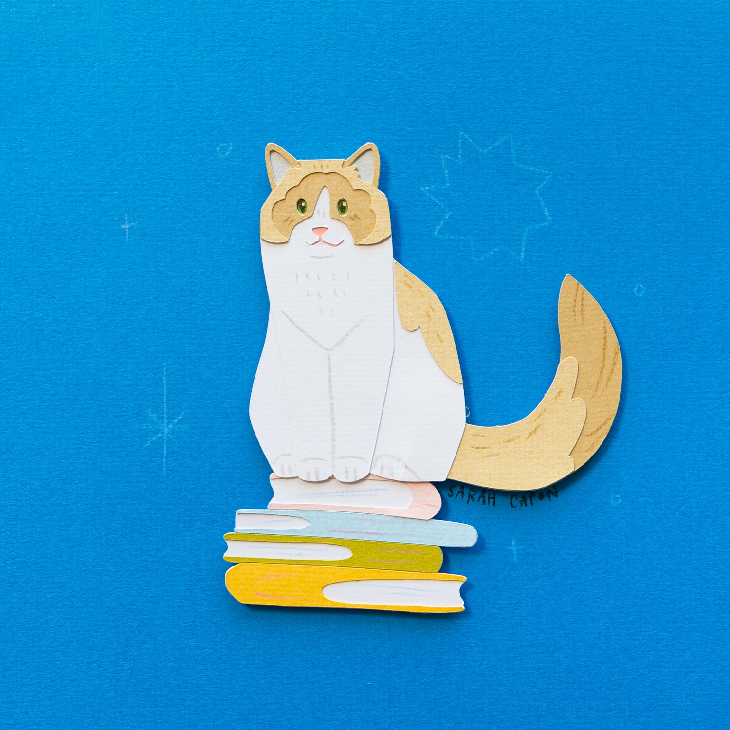 Ragdolls on Books