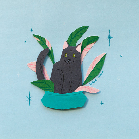 Black Cats in Plants