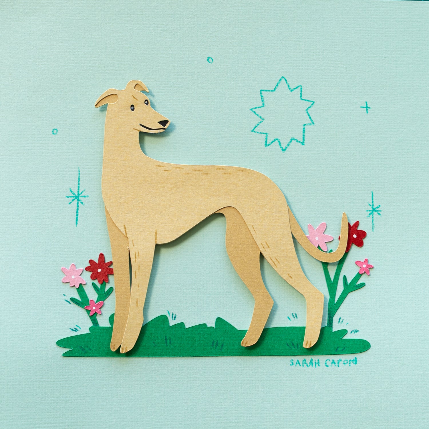Greyhounds