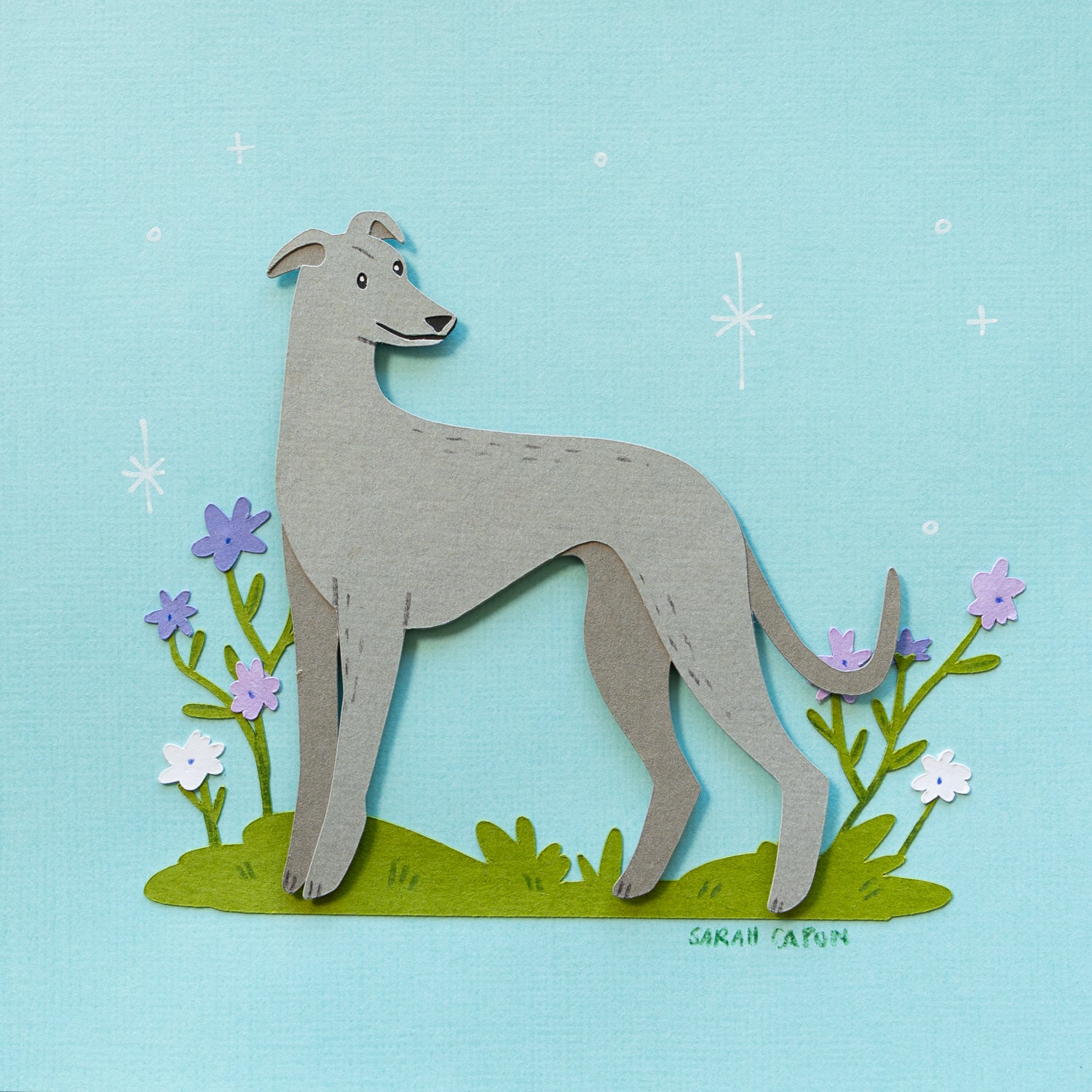 Greyhounds