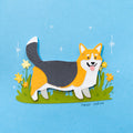 Corgis