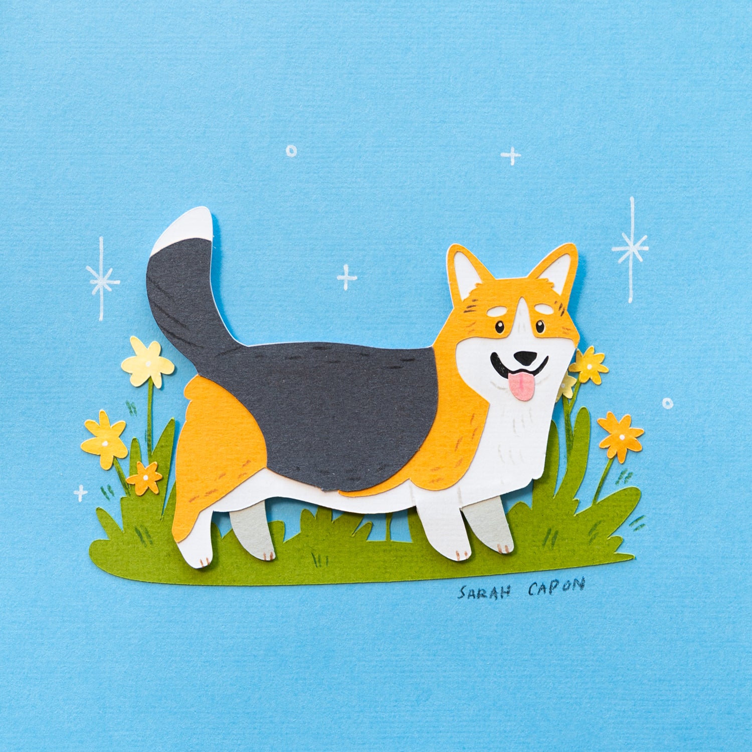 Corgis