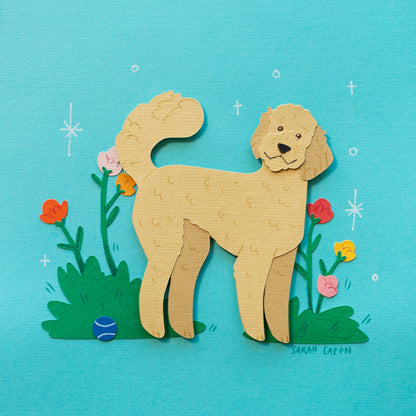 Fluffy Poodle / Oodle