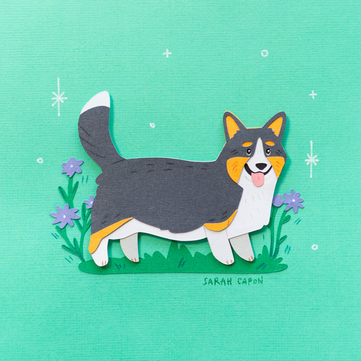 Corgis