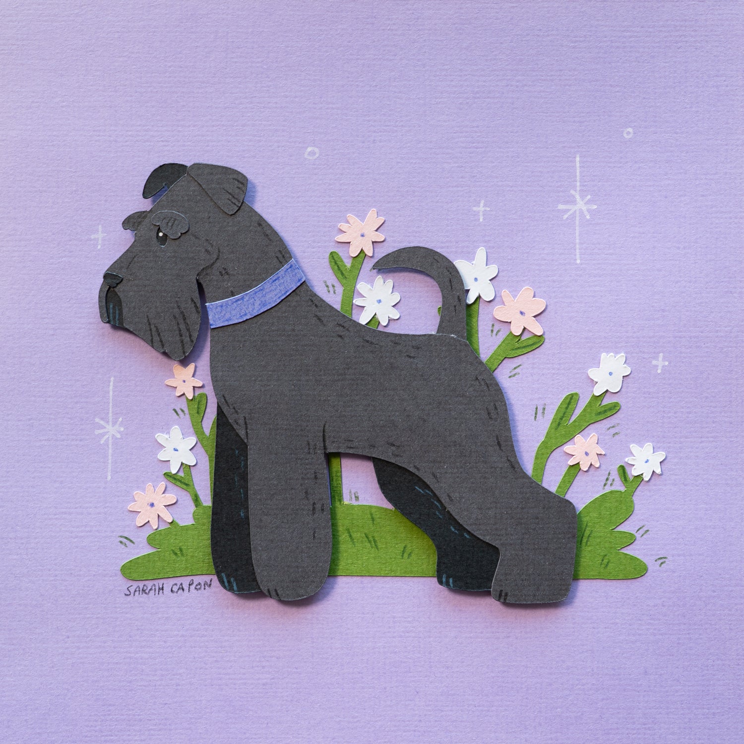Schnauzers