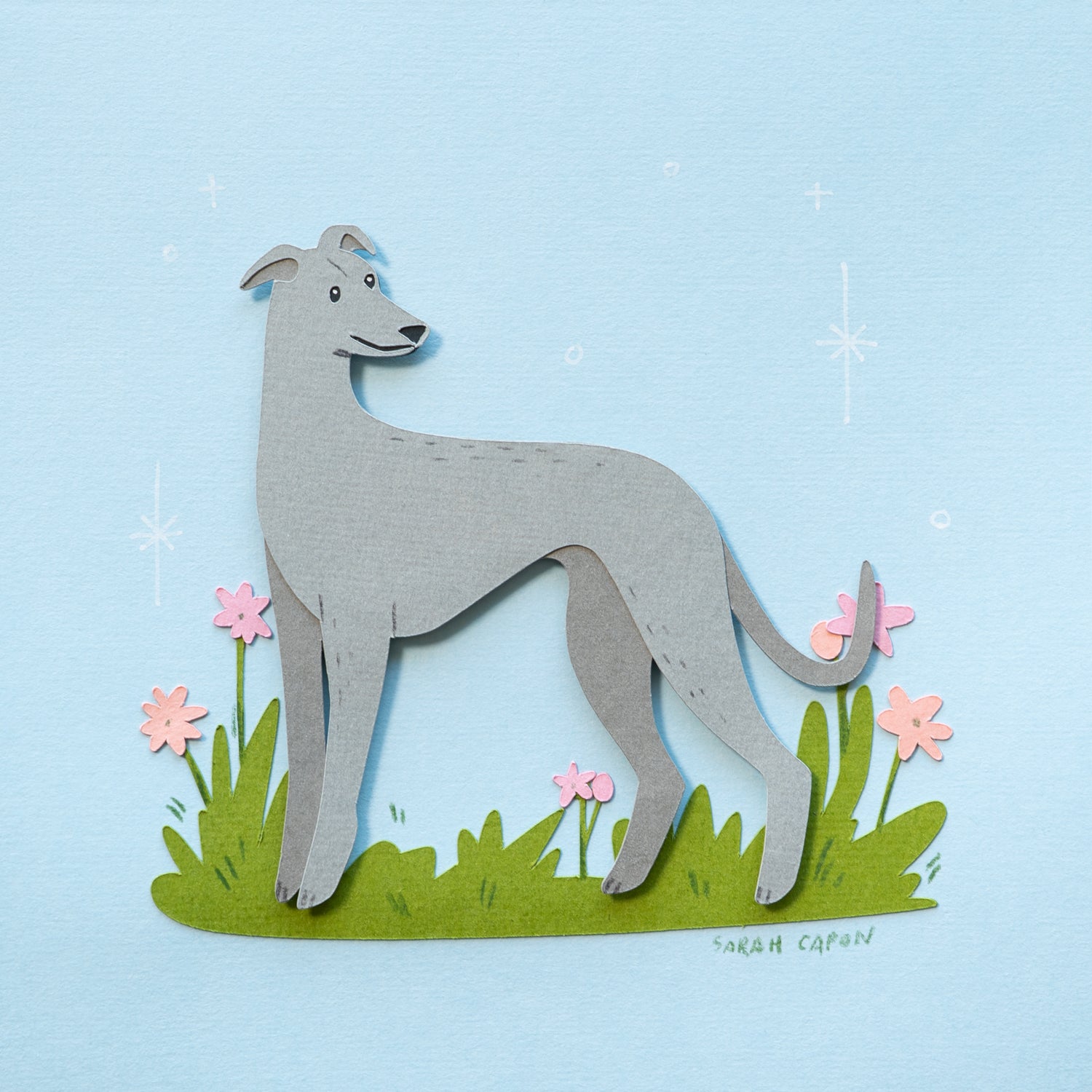 Greyhounds