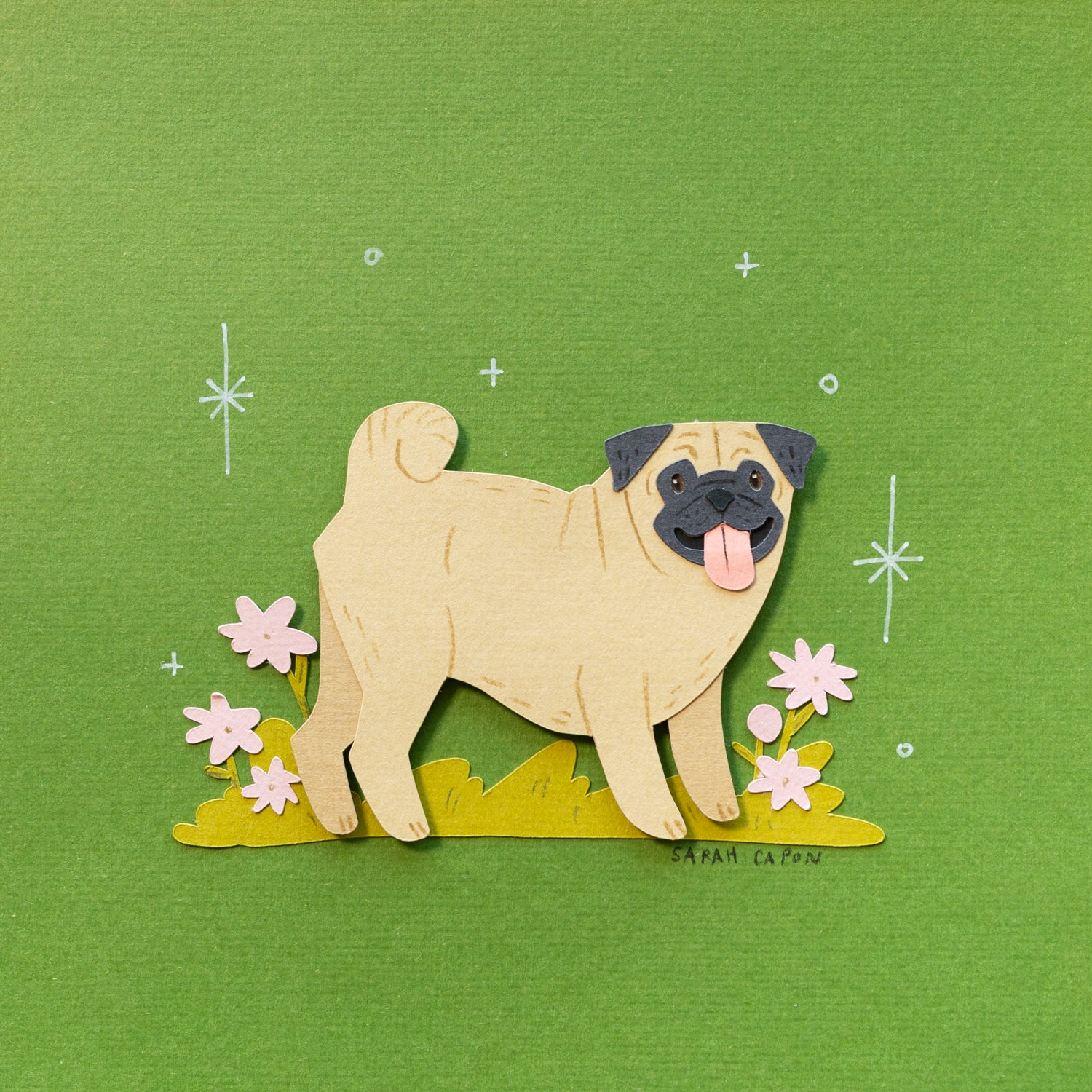 Pugs