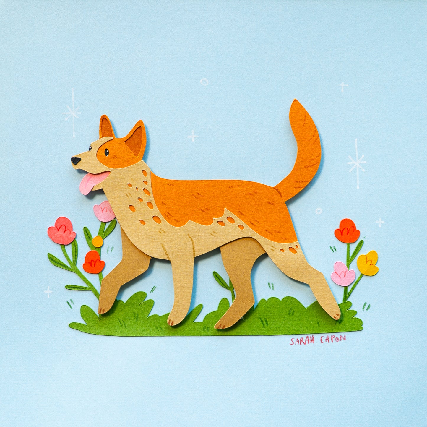 Australian Cattle Dogs