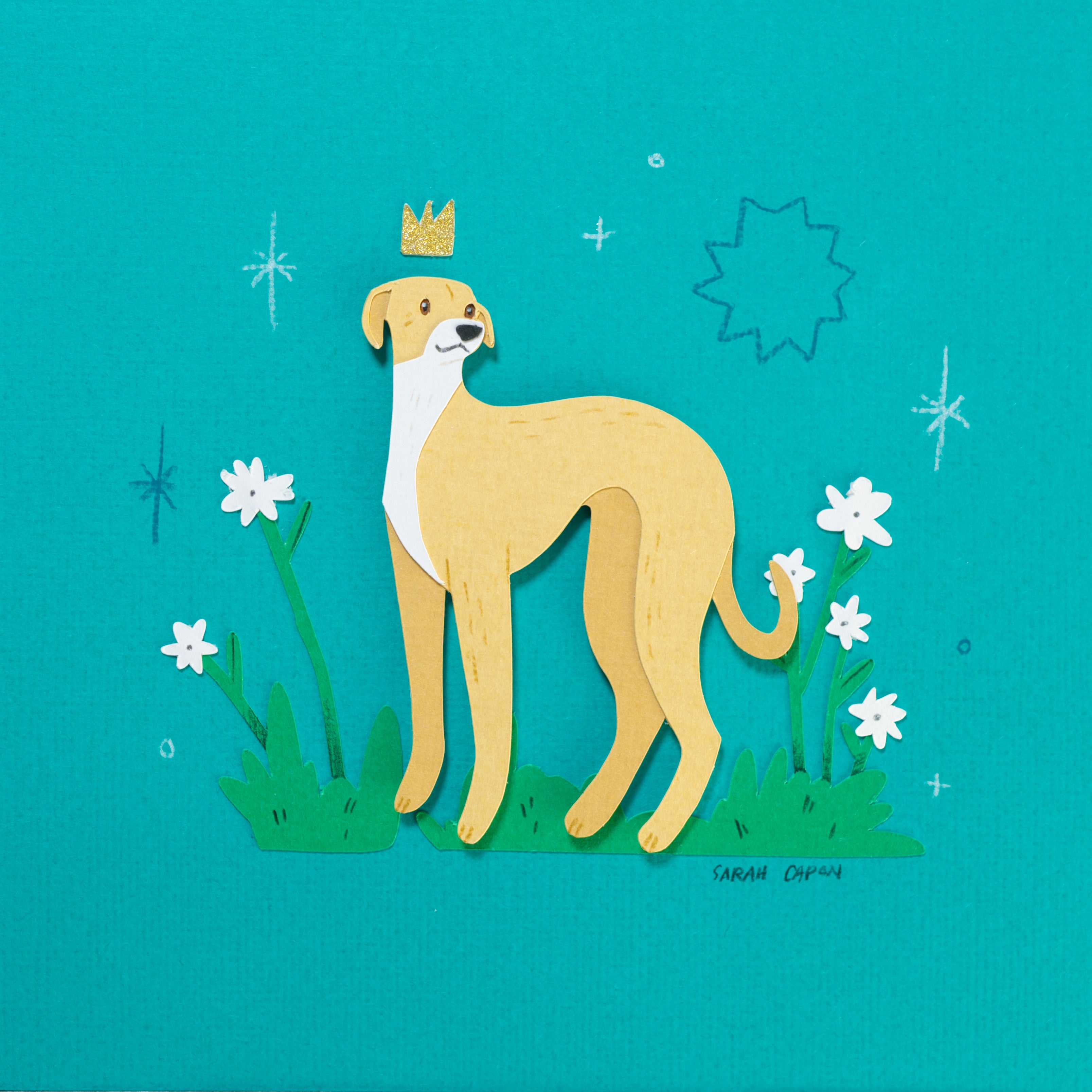 Italian Greyhound