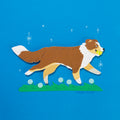 Australian Shepherd