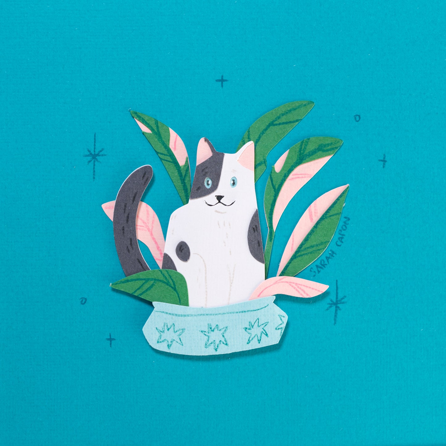 Black and White Cats in Plants