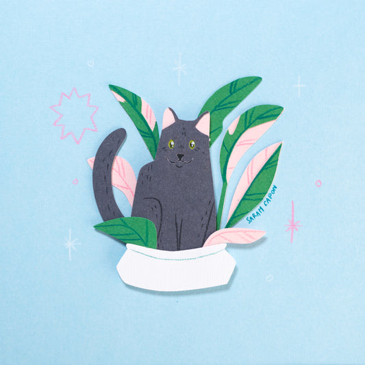 Black Cats in Plants
