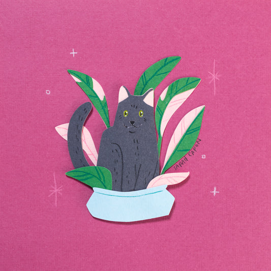 Black Cats in Plants