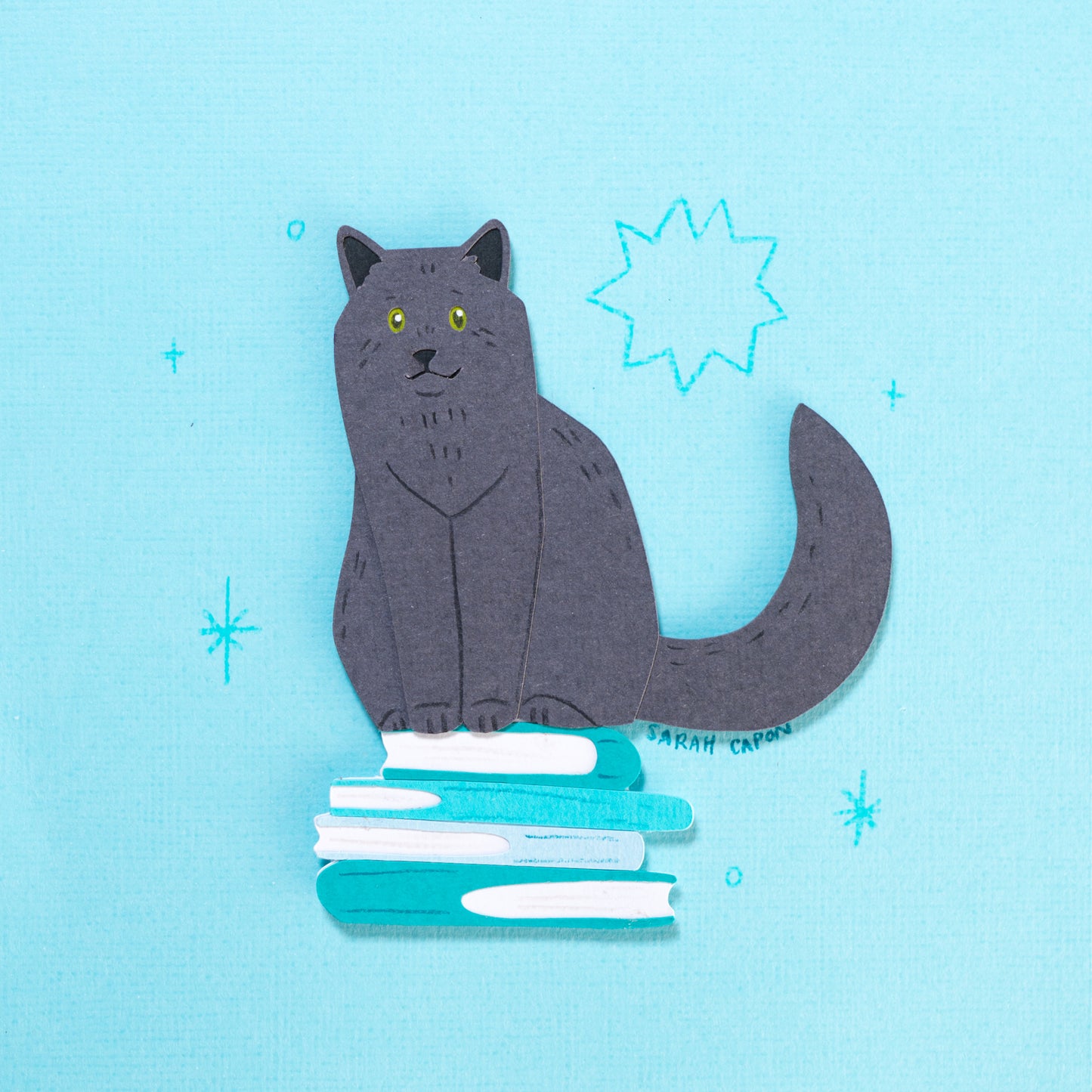 Black Cats on Books
