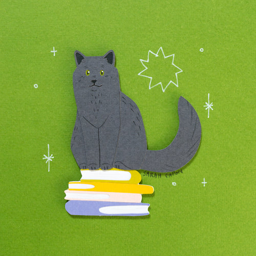 Black Cats on Books