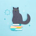 Black Cats on Books