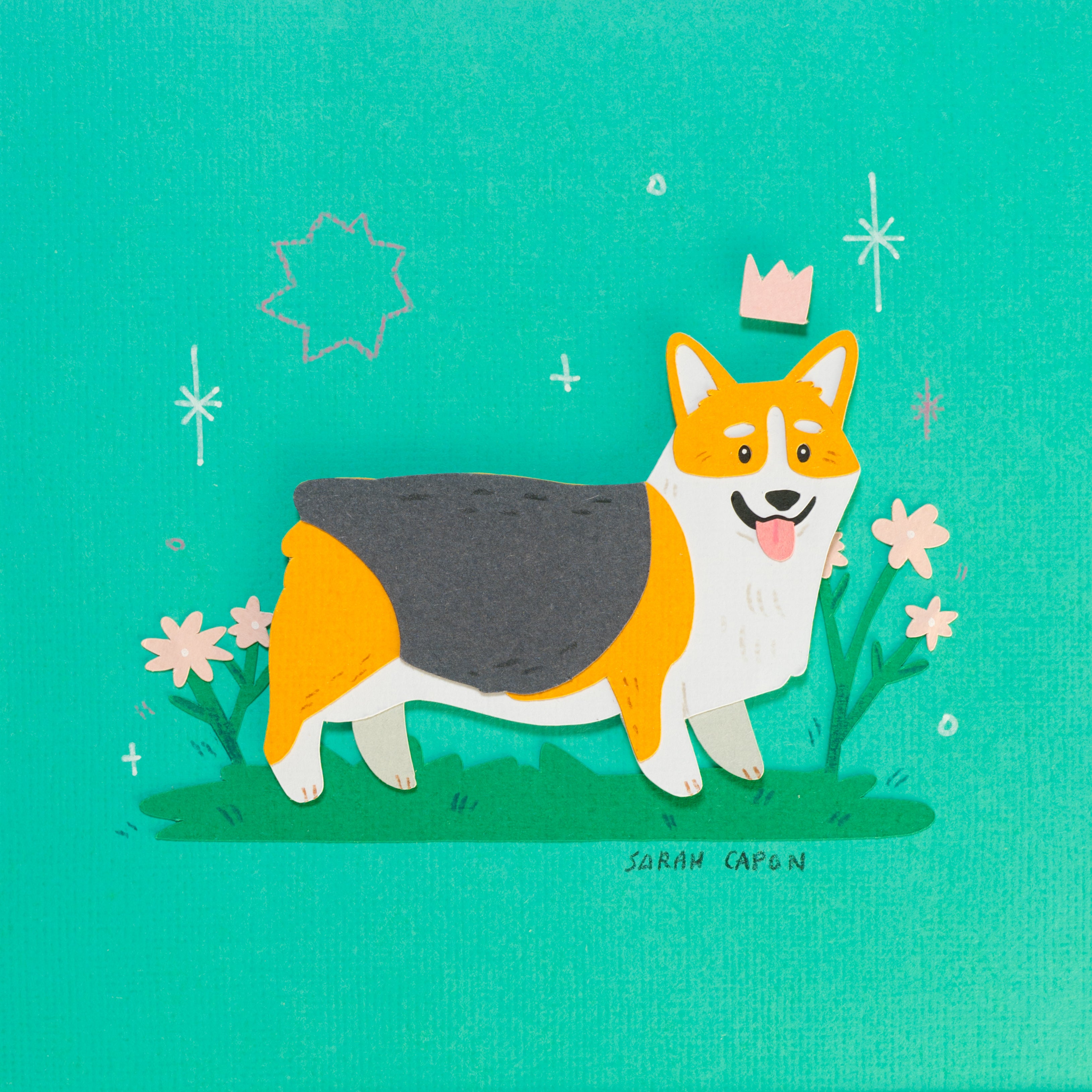 Corgis